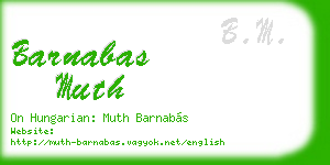 barnabas muth business card