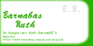 barnabas muth business card